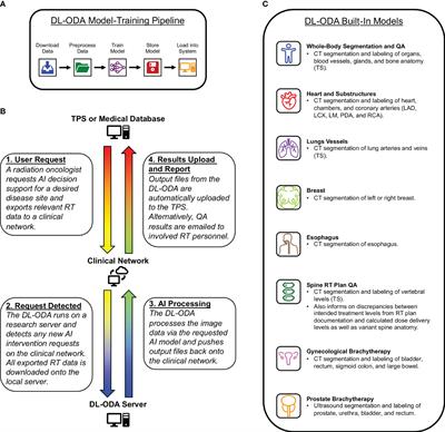 Prospective deployment of an automated implementation solution for artificial intelligence translation to clinical radiation oncology